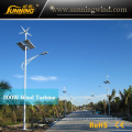 Windy Area Wind Solar Street Light System Power Supply Small Wind Turbine